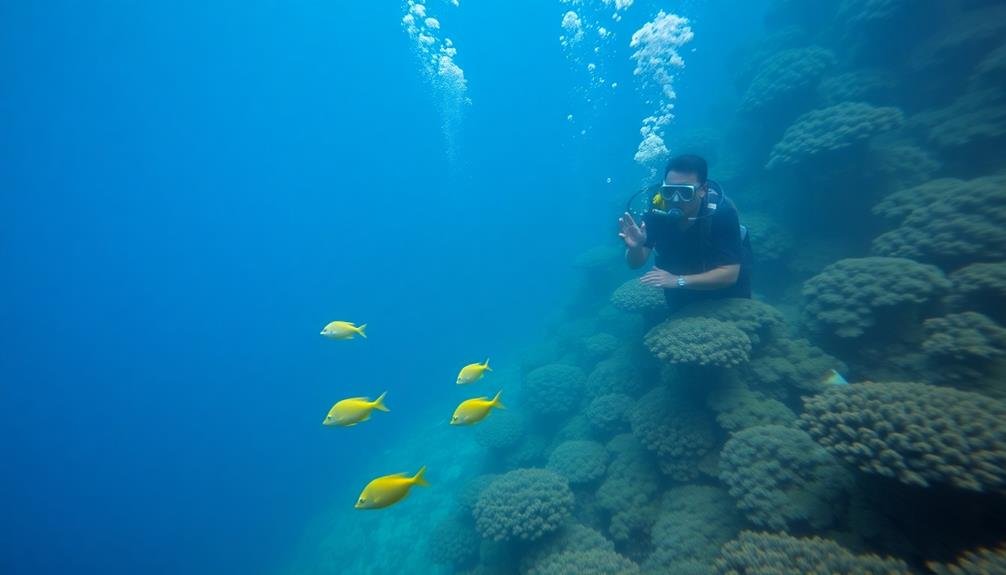 aquarium photography for relaxation
